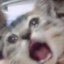 또또분식 이미지