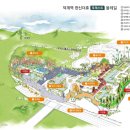 더휴건강