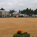 남애초등학교 이미지