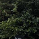 보메온도