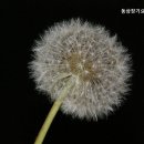 동삼장기요양기관 이미지