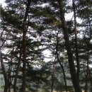 오서산자연휴양림 이미지