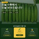 아삭농장 | 찬이네농장 백다다기오이로 만든 아삭한 오이소박이 후기