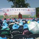 도양축구장 네이버블로그