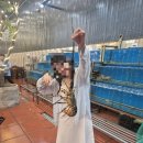 마하세이프 | 나트랑 3박 5일 자유여행 총정리 - 여행 총경비부터 일정, 날씨&amp;코디, 기념품, 꿀팁까지!! (관광지도)