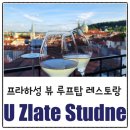 U-5 | 프라하성뷰 루프탑 레스토랑, U Zlate Studne 코스아닌 단품 후기