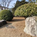 대아중학교 이미지