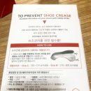 슈바이탈 이미지