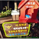 도동 등대 Daum카페