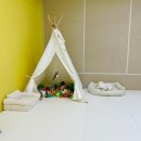 개놀자 | 주안 애견유치원/애견호텔 개놀자애견유치원 내 돈 내산 상담 후기