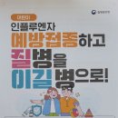 어린이 인플루엔자 예방접종 안내 이미지