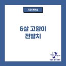 박물관옆동물병원 이미지