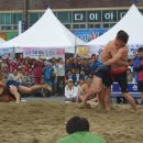 완도스케치 이미지