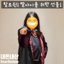 [내돈내산] 아빠의 할로윈 준비: 해리포터 그리핀도르 조끼 내돈내산 후기