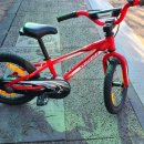 스페셜 라이즈드 어린이 자전거 이미지