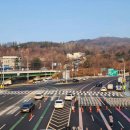 주정차단속-46 이미지