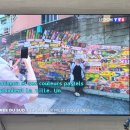 대교어학원 | 8월 은근 바빴던 프랑스 일상_프랑스 트라바이 / 1차 시민교육/ Méert