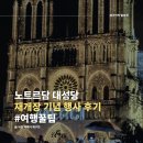 귀빈약국 | 5년 만에 오픈한 프랑스 파리 노트르담 대성당 재개장식 실망스러웠던 현장 관람 후기