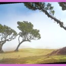 태평양식품 이미지