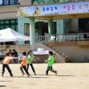 인제남초등학교 이미지