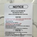 행궁동펍 수원애견동반카페 &#39;루프독스&#39;에서 강아지랑 놀기 가능
