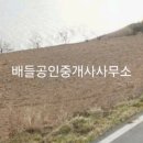 신안부동산공인중개사사무소 이미지