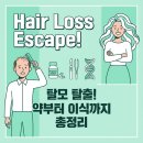 라고디꼬모컨텐츠뱅크 | 탈모 정복 가이드: 약물·이식·시술·심리케어 총정리