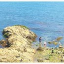 수줍은 남해 풀빌라 이미지