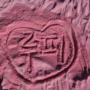 채우리네 | 제주애견동반펜션, 채우리네, 서귀포시애견동반숙소, 제주애견동반태교여행, 제주채우리네솔직후기