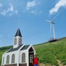 회동2리청옥산깨비마을 | 평창 청옥산 육백마지기 샤스타데이지 (2021.6.6)
