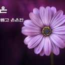 늘솜늘품 이미지