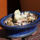 고산민박 이미지