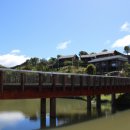 웰리힐리파크 관광단지 이미지