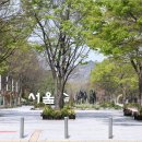 서울숲공원 관리사무소 | 서울숲, 벚꽃·튤립 봄꽃 여정