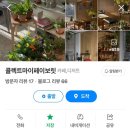 [보문역 카페] 서울 성북구 보문역콜렉트마이페이보릿 ☕️