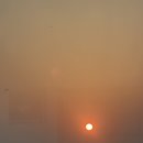 소노벨 변산 | 변산반도 가족여행 숙소 <소노벨 변산> 스위트 스탠다드 후기