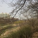 주정차단속-35 이미지