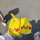 북면348 | 가평키즈풀빌라 베이유키즈풀빌라