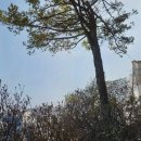 시온휴요양원 이미지