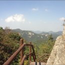 스테이 수림 이미지