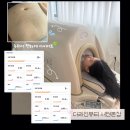 바이오포톤생육광선 | 부산 다이어트 더라인뷰티 바이오포톤 전신돔에서 자면서 체지방 감량 후기