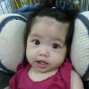 아이그리다 이미지