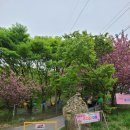 태봉리농산물
