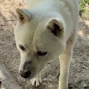 에덴목욕탕 이미지