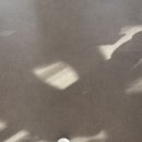 힙존짐 | 구서동 헬스장 구서 피티 스타짐 헬스장 여자 하체 기구 사용 후기