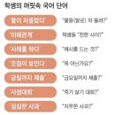 P플러스행정사사무소 | 2025년 10월 9일 새로이 알게 된 것들