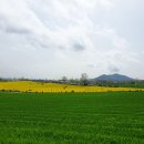 (주)청보리 이미지