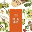 샐러드40 이미지
