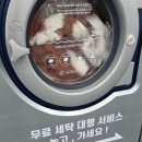 두산위브세탁소 - 동대문구 황물로15길 25 | 포항 대도동 세탁소, 빨래방 찾으시나요? 워시엔조이 두산위브점 추천!
