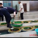 신안갯벌세발낙지 이미지
